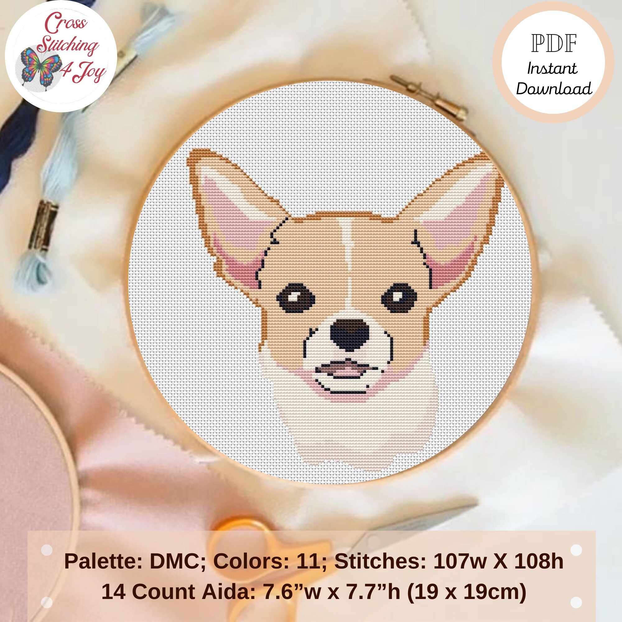 color patterns of an chihuahua dog