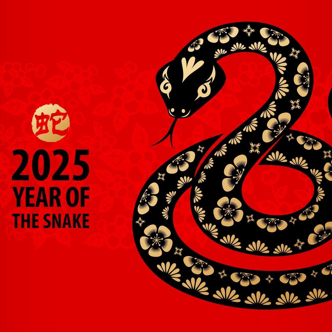 Chinese New Year Guide Wear These Color For Good Luck In 2025