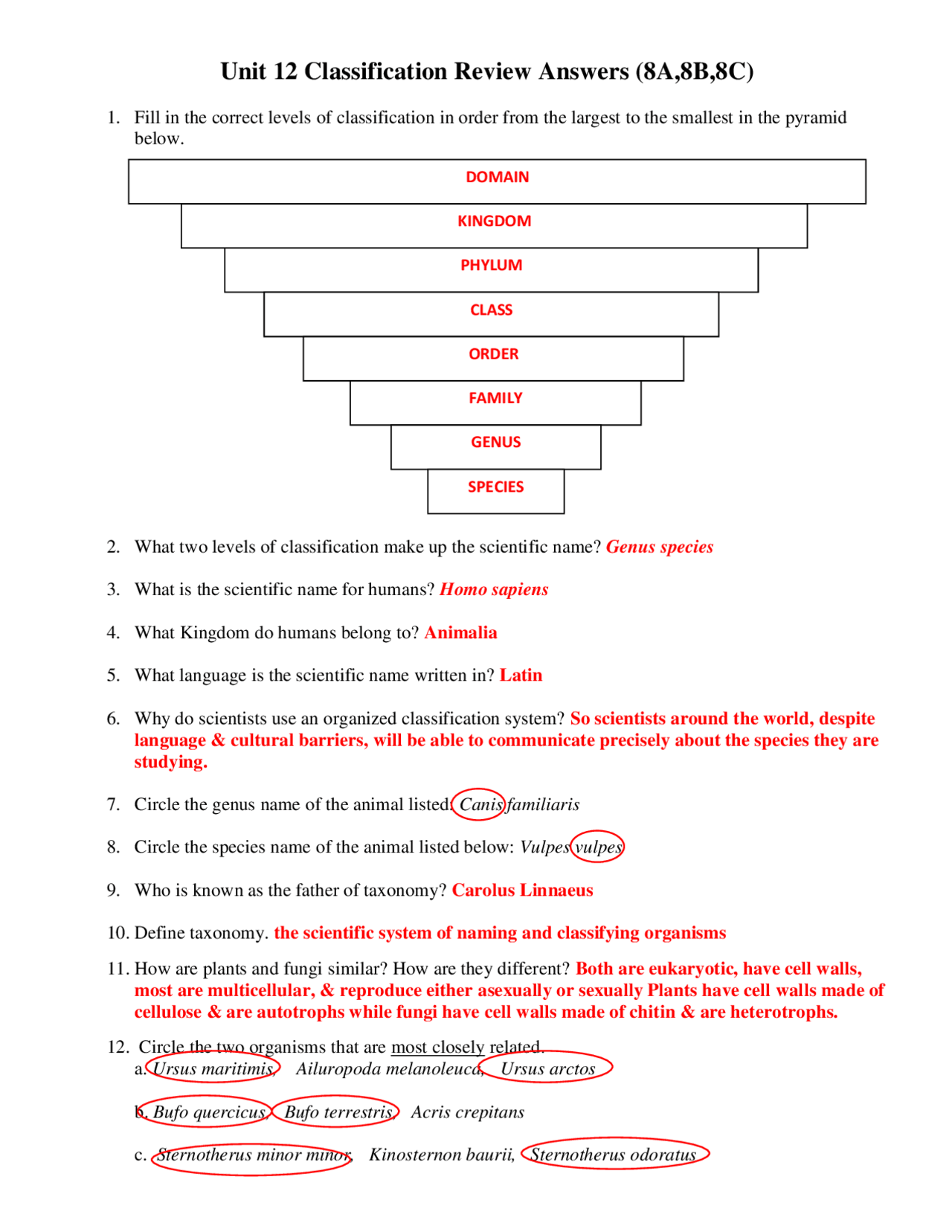 Classification And Taxonomy Worksheet Answers Exercises Animal Worksheets Library