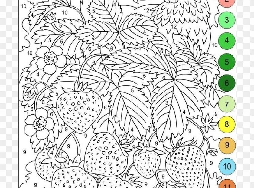 Color By Number Coloring Pages For Adults Transparent PNG PNG