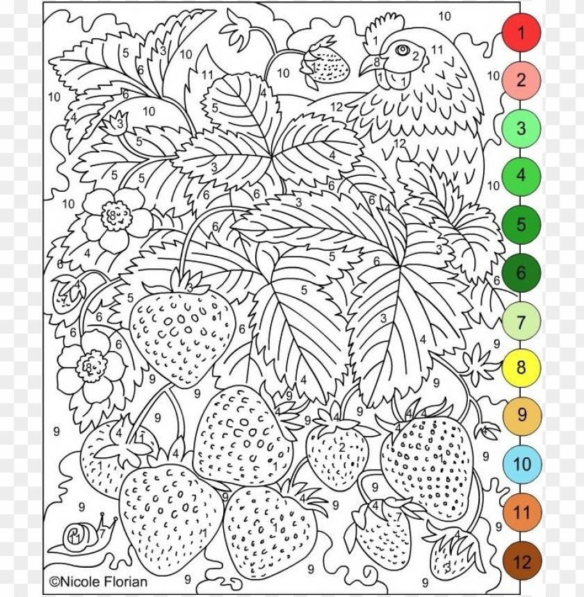 Color By Number Coloring Pages For Adults Transparent PNG PNG 