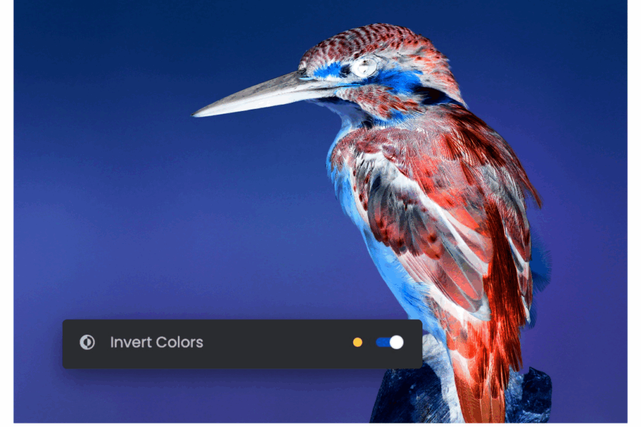 Color Inverter Invert Image Colors Online For Free Fotor