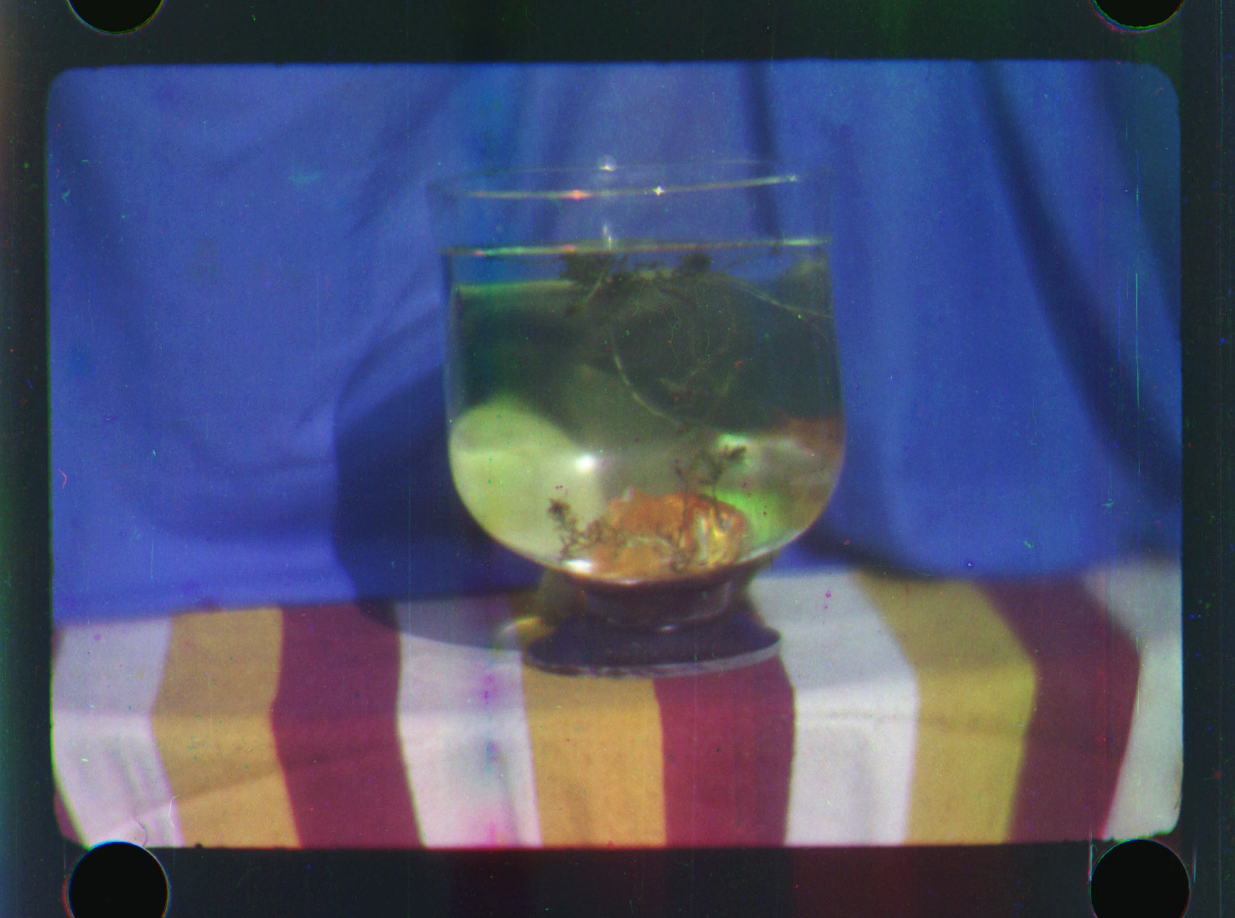 the first color motion picture