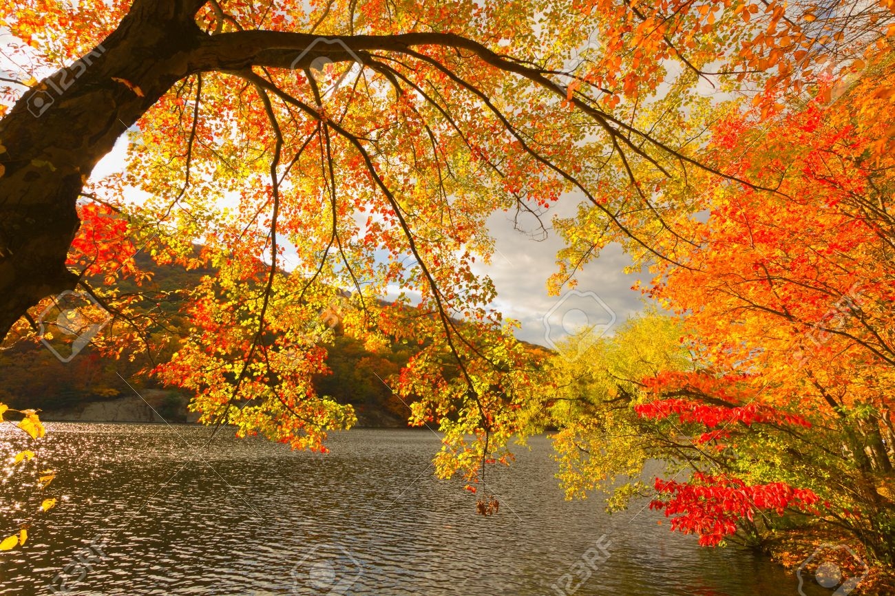 Colorful Fall Scenery Landscapes Stock Photo Picture And Royalty Free Image Image 33461002 