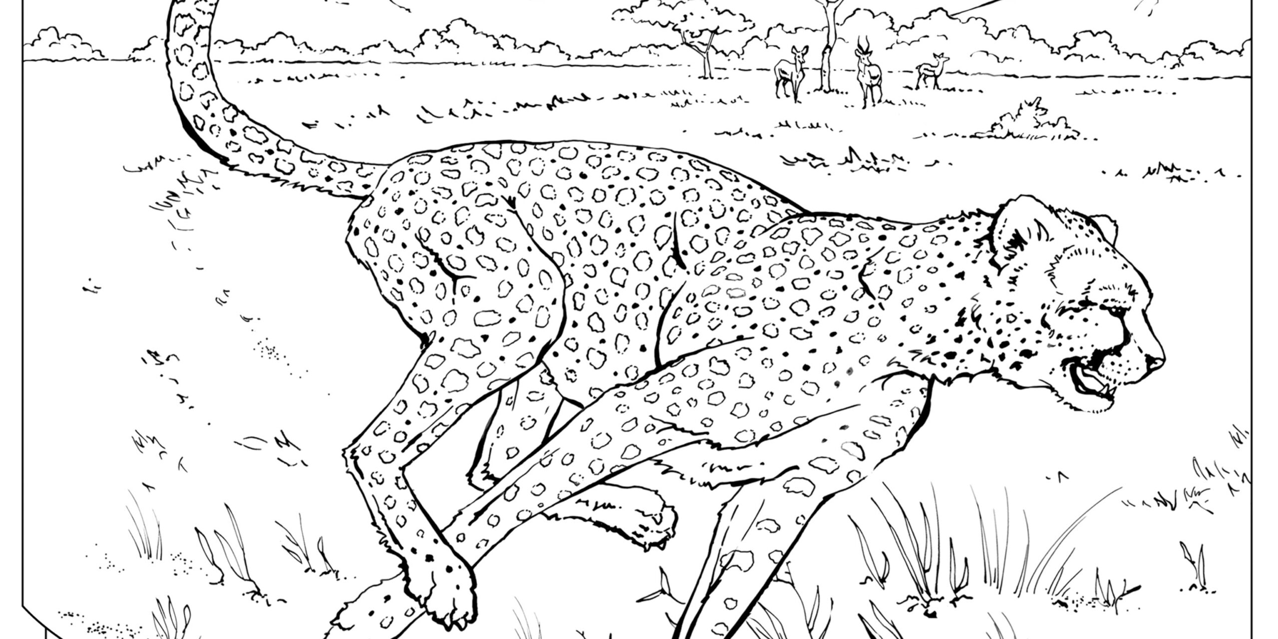 Coloring Book Animals A To I Worksheets Library