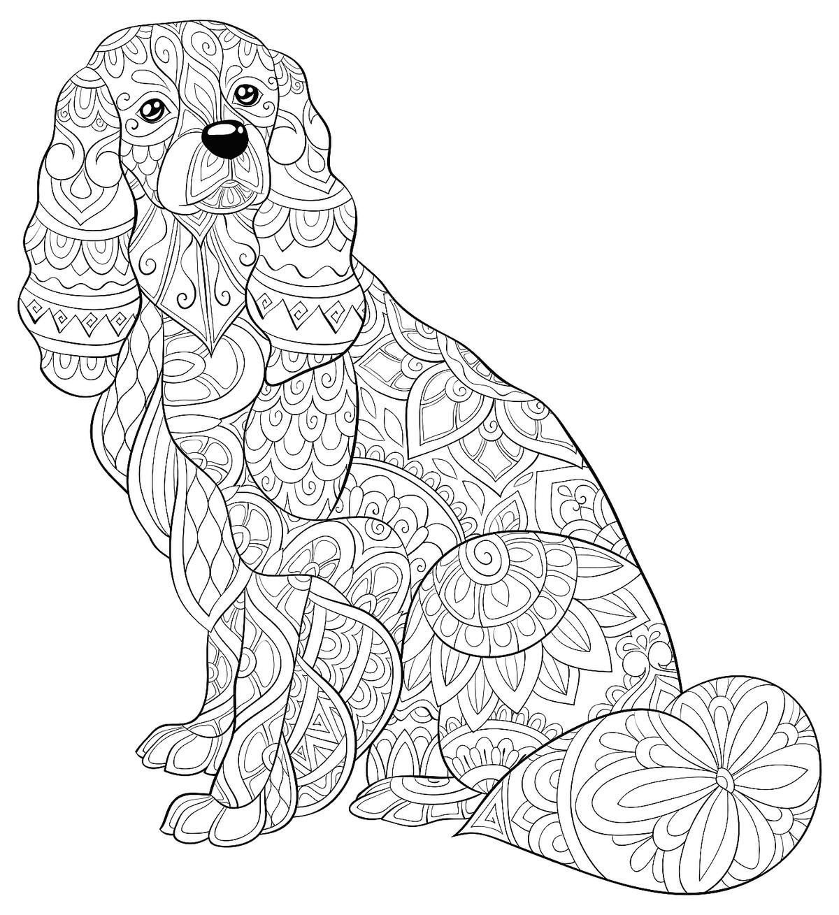 printable coloring pages dog