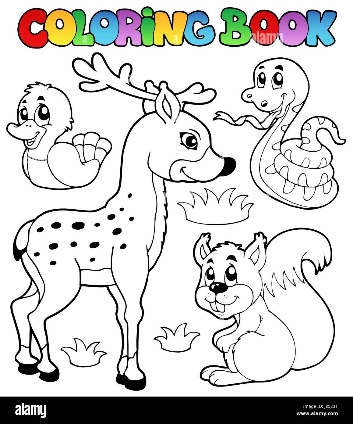 Colour Animal Animals Paint Painted Colouring Nature Book Laugh 