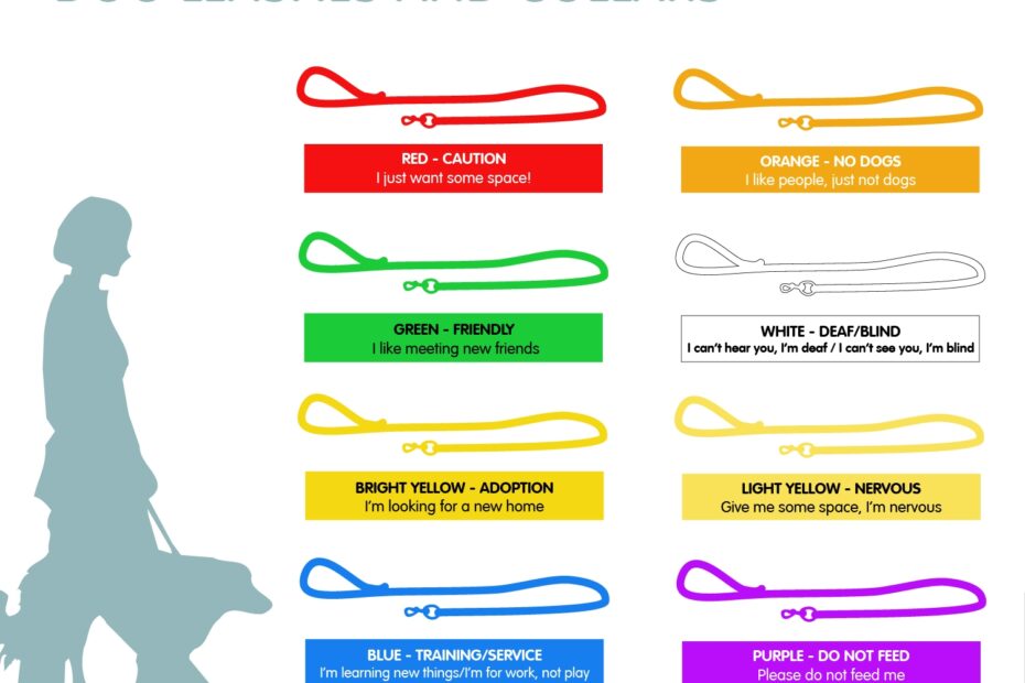 Colour Coded Dog Leashes And Collars What s The Meaning