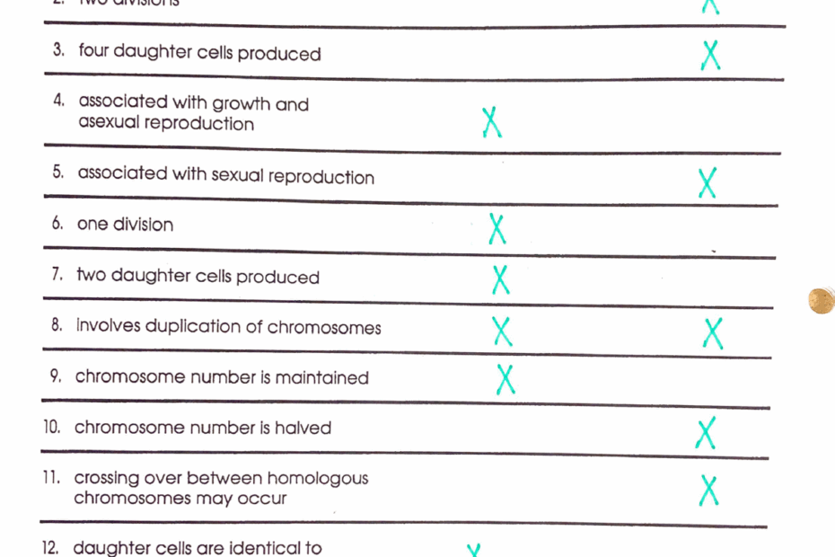 Comparing Mitosis Meiosis Answer KEY ENG 4025 Studocu Worksheets Library