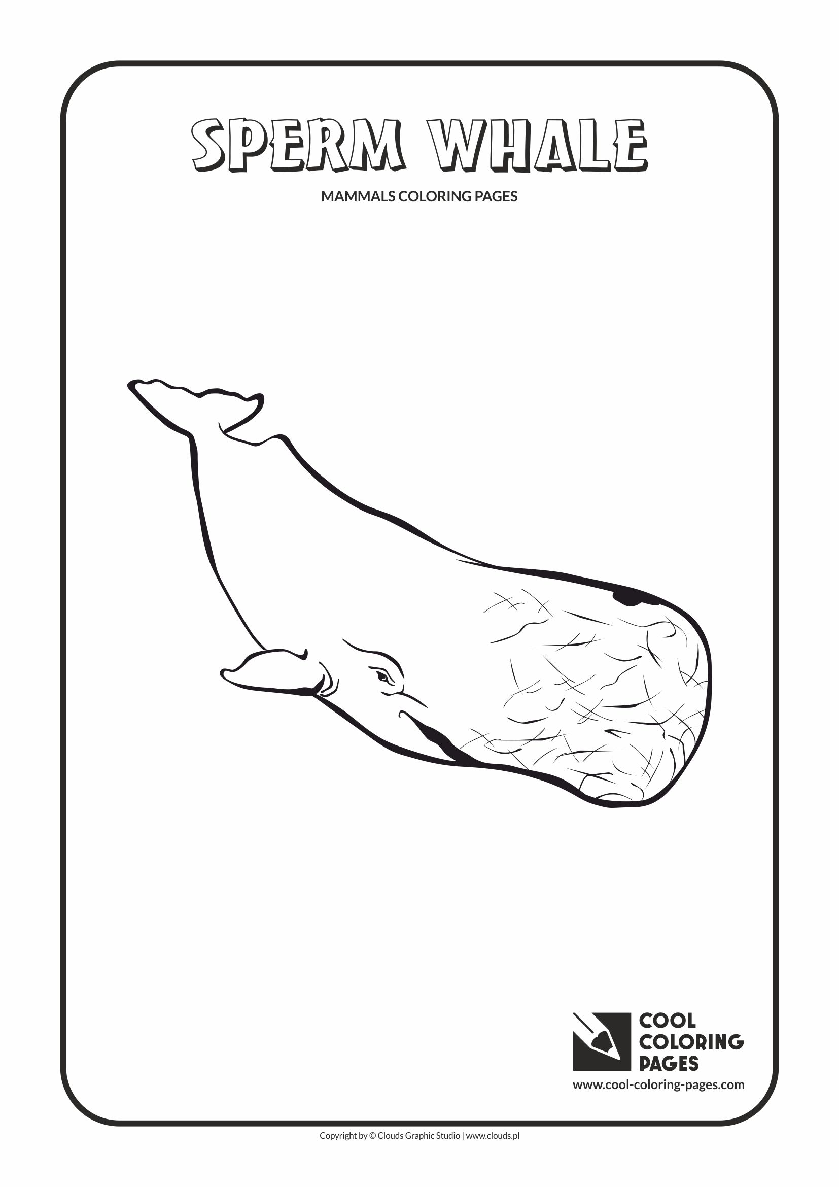 Cool Coloring Pages Sperm Whale Coloring Pages Archives Cool Coloring Pages Free Educational Coloring Pages And Activities For Kids
