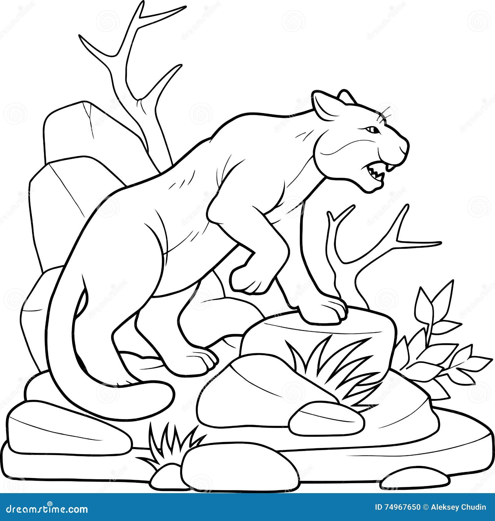 Cougar Coloring Stock Illustrations 378 Cougar Coloring Stock Illustrations Vectors U0026 Clipart Dreamstime