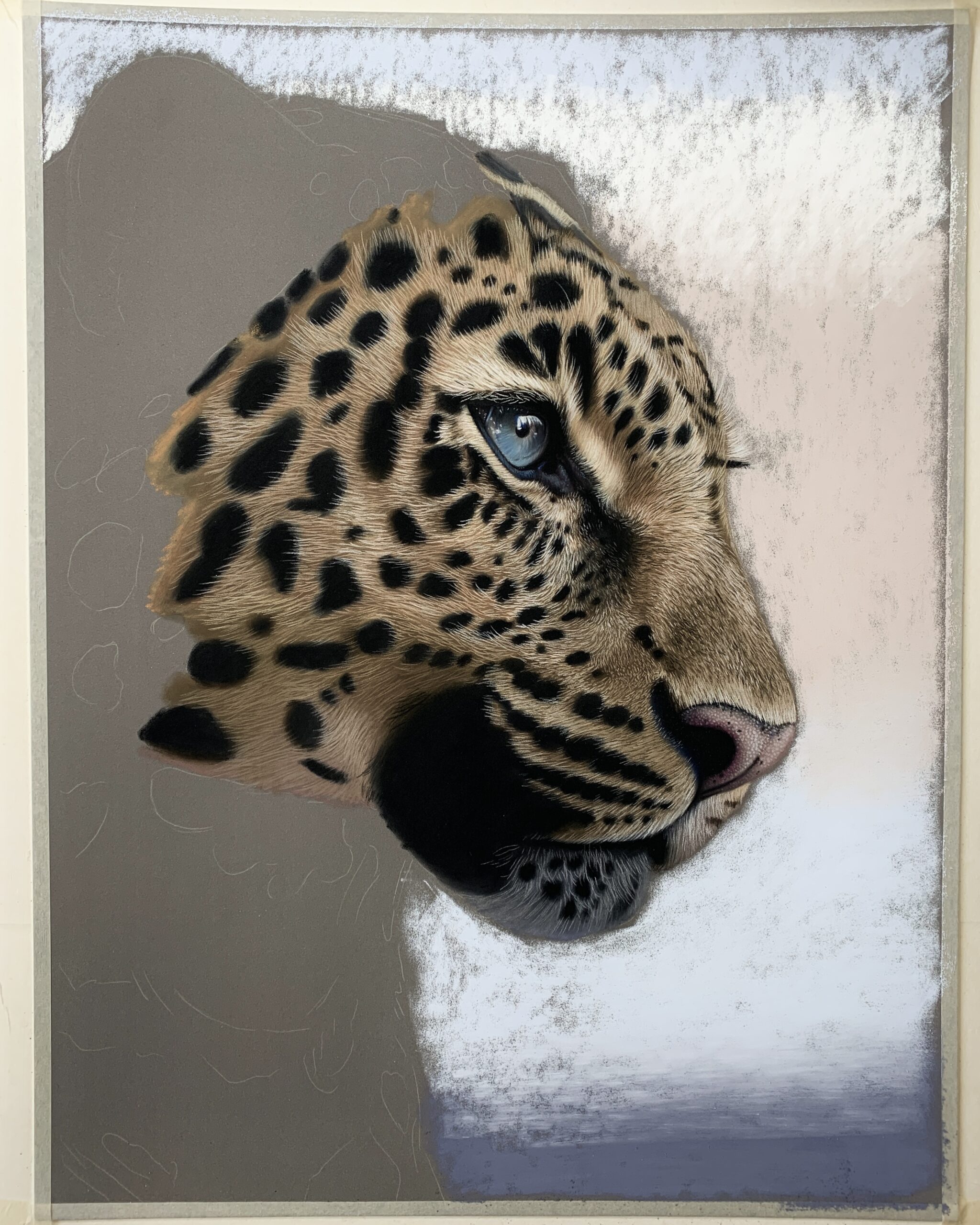 Creating Serene Leopard Pastel Portrait Art Tutorial Shaymus Art