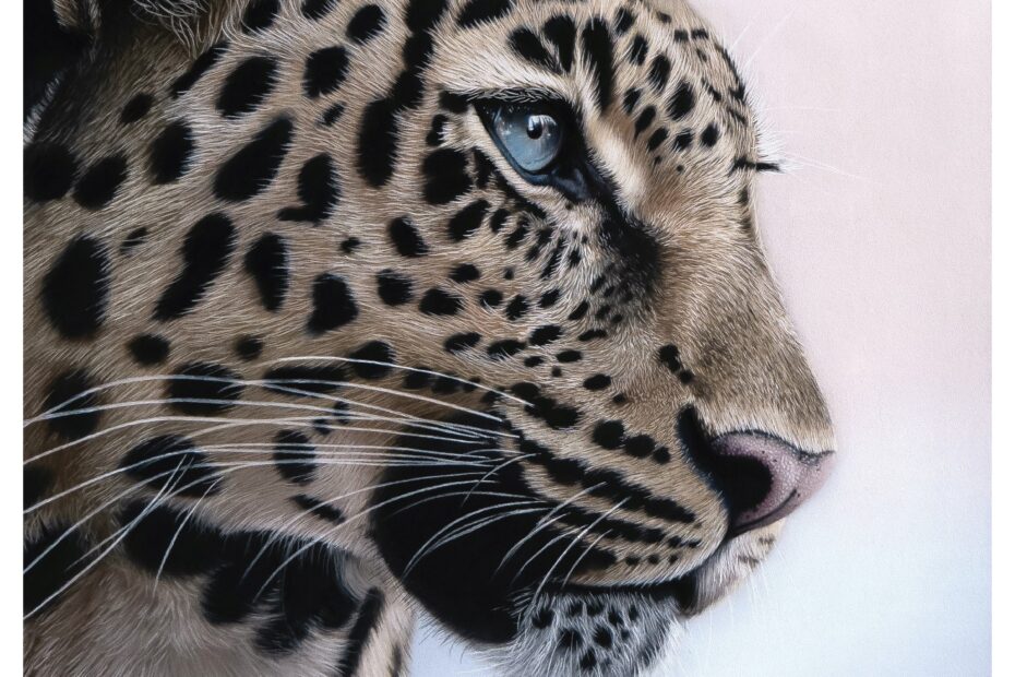 Creating Serene Leopard Pastel Portrait Art Tutorial Shaymus Art