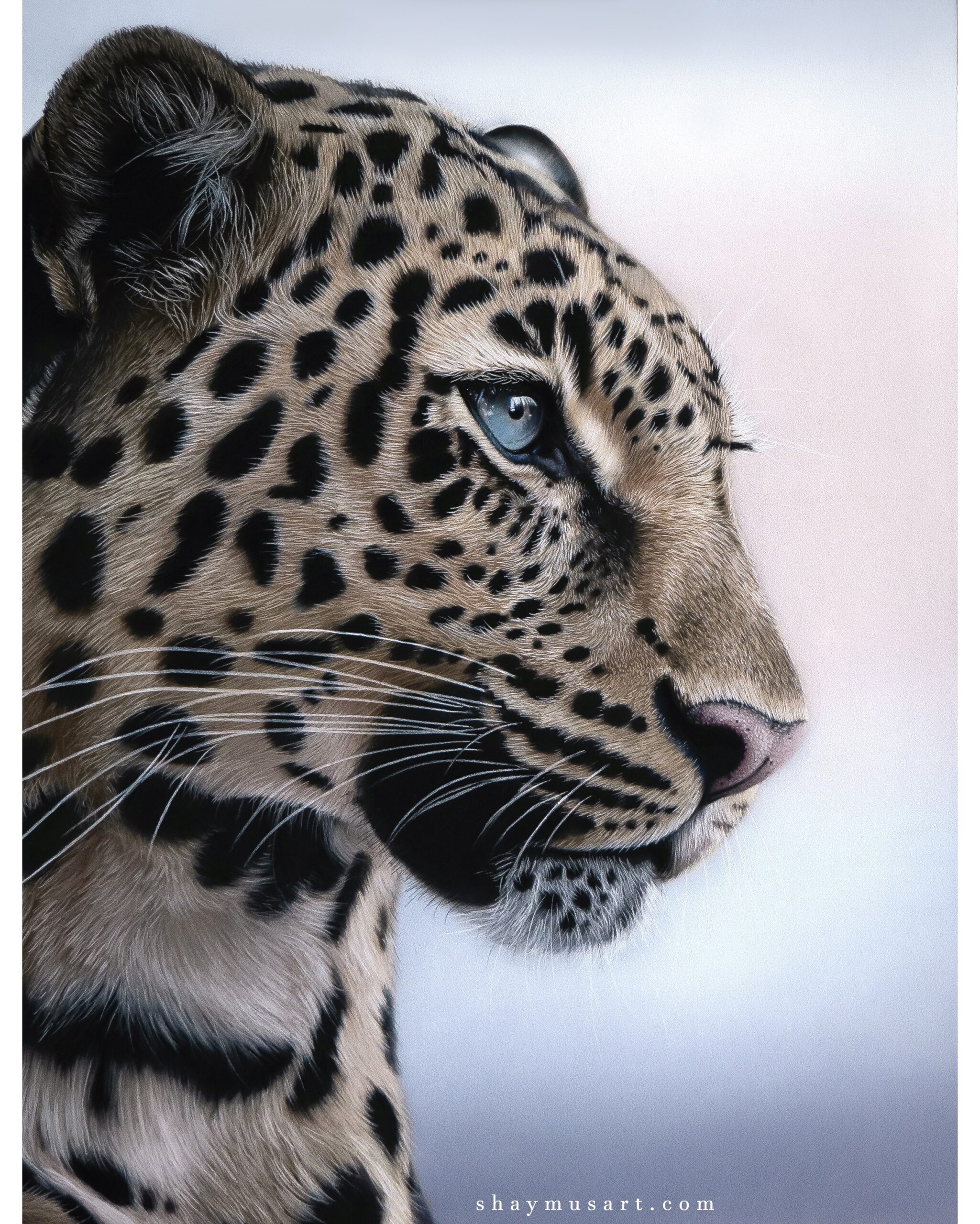 Creating Serene Leopard Pastel Portrait Art Tutorial Shaymus Art