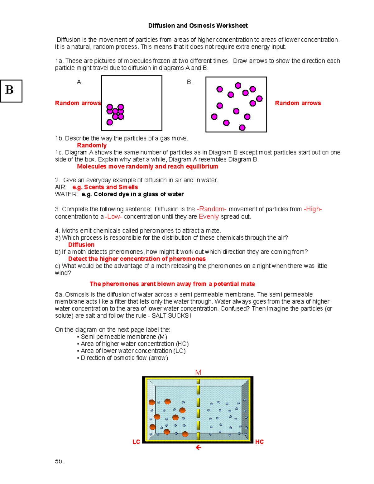 Diffusion And Osmosis Worksheet KEY 08 Deprecated API Usage The 