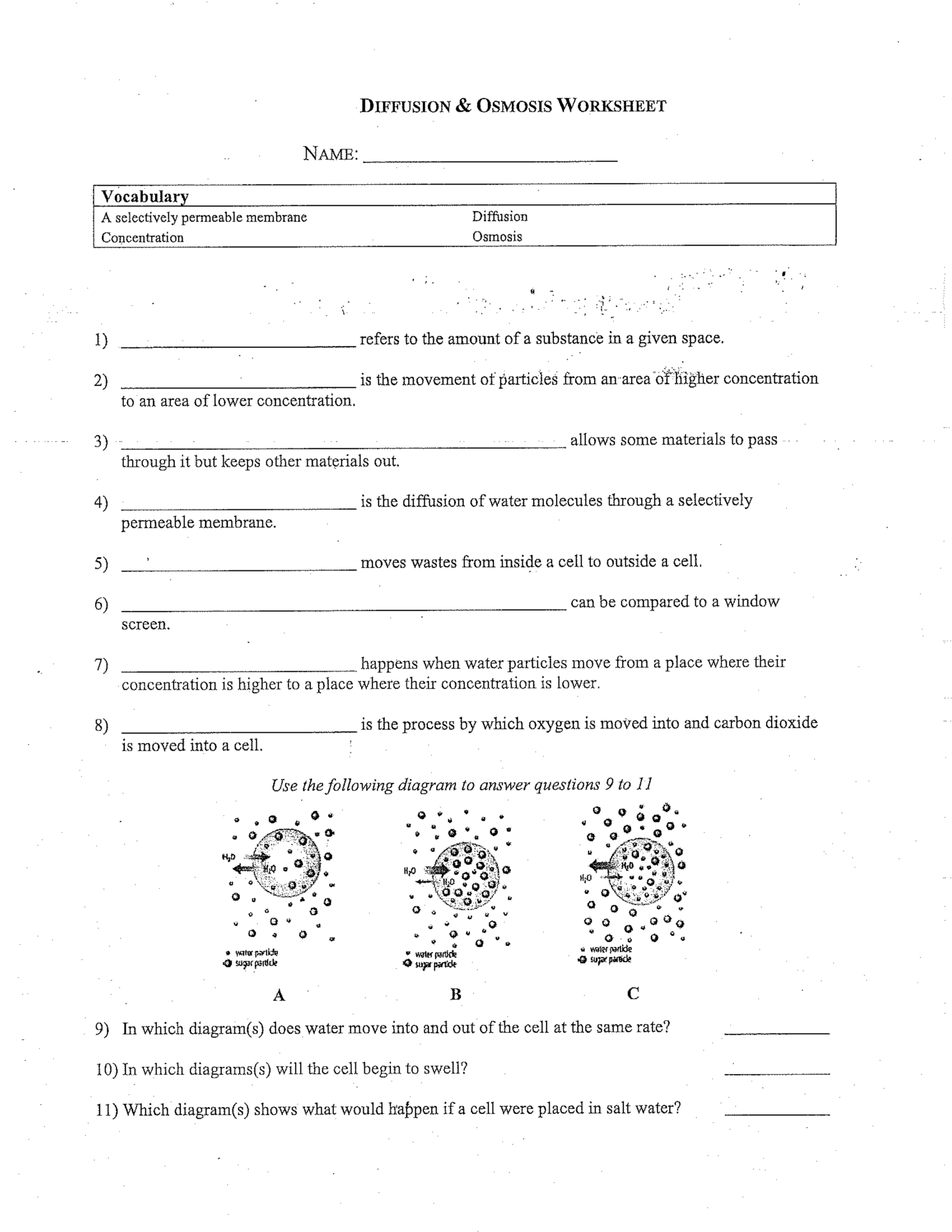 Diffusion U0026 Osmosis Worksheet Heather Sanborn Library Formative