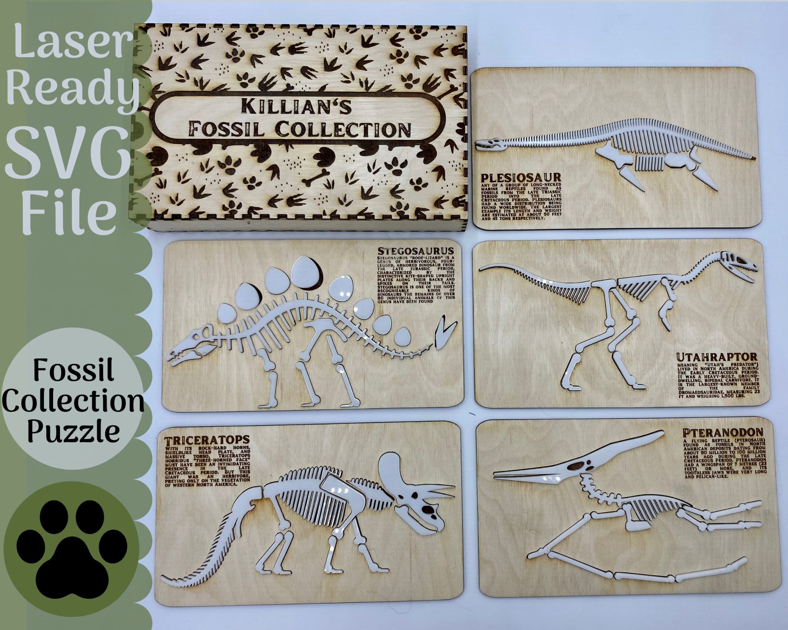 giant dinosaur skeleton puzzle template