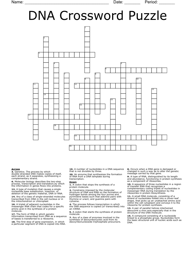 dna puzzle template
