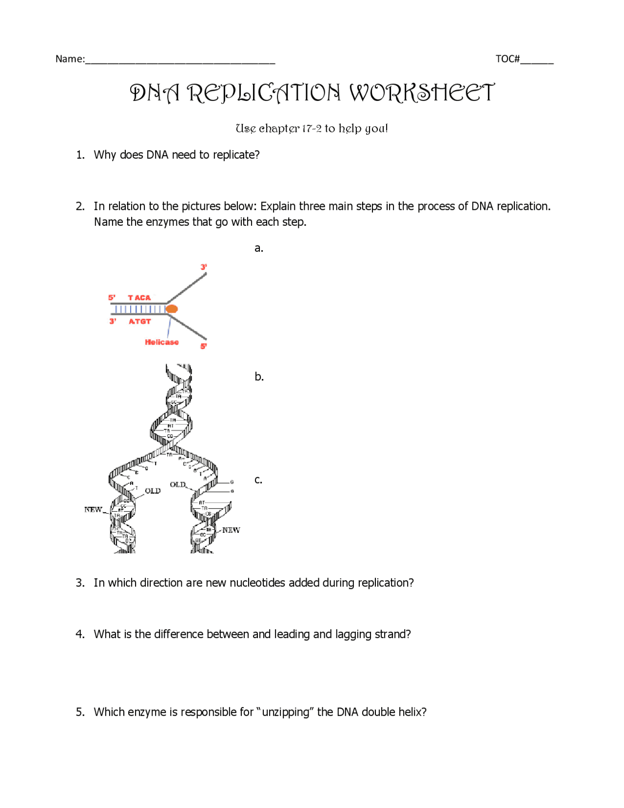 dna and replication worksheet answer key