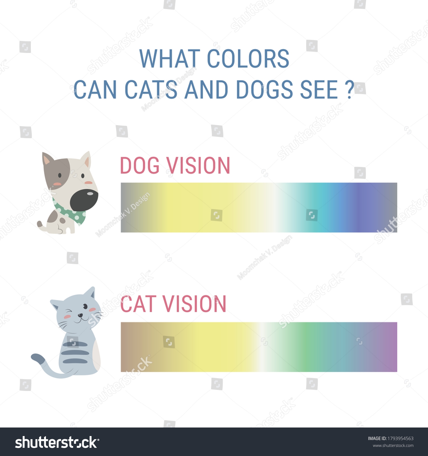 dog color sight