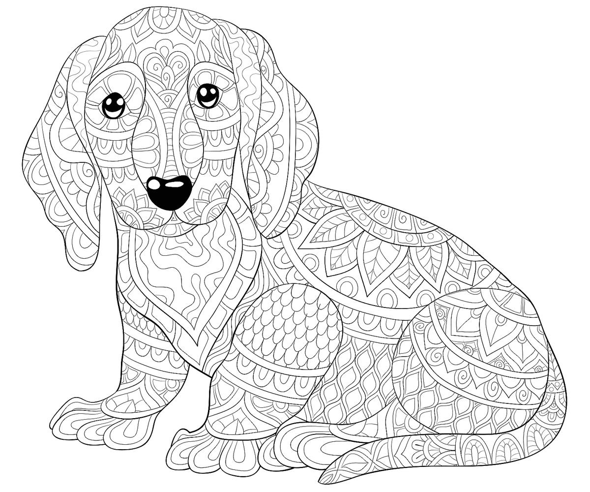 pictures of dogs coloring pages