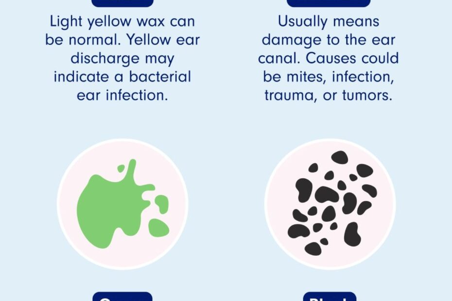 Dog Ear Wax Color Chart Types Meanings U0026 Treatment PetLab Co