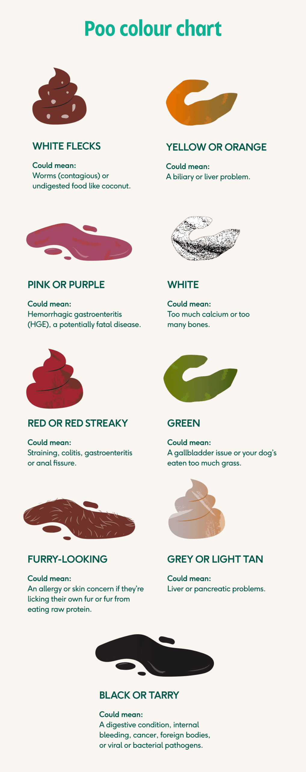 Dog Poo Decoded Colour Consistency And Smell vet Approved Guide Lyka Blog