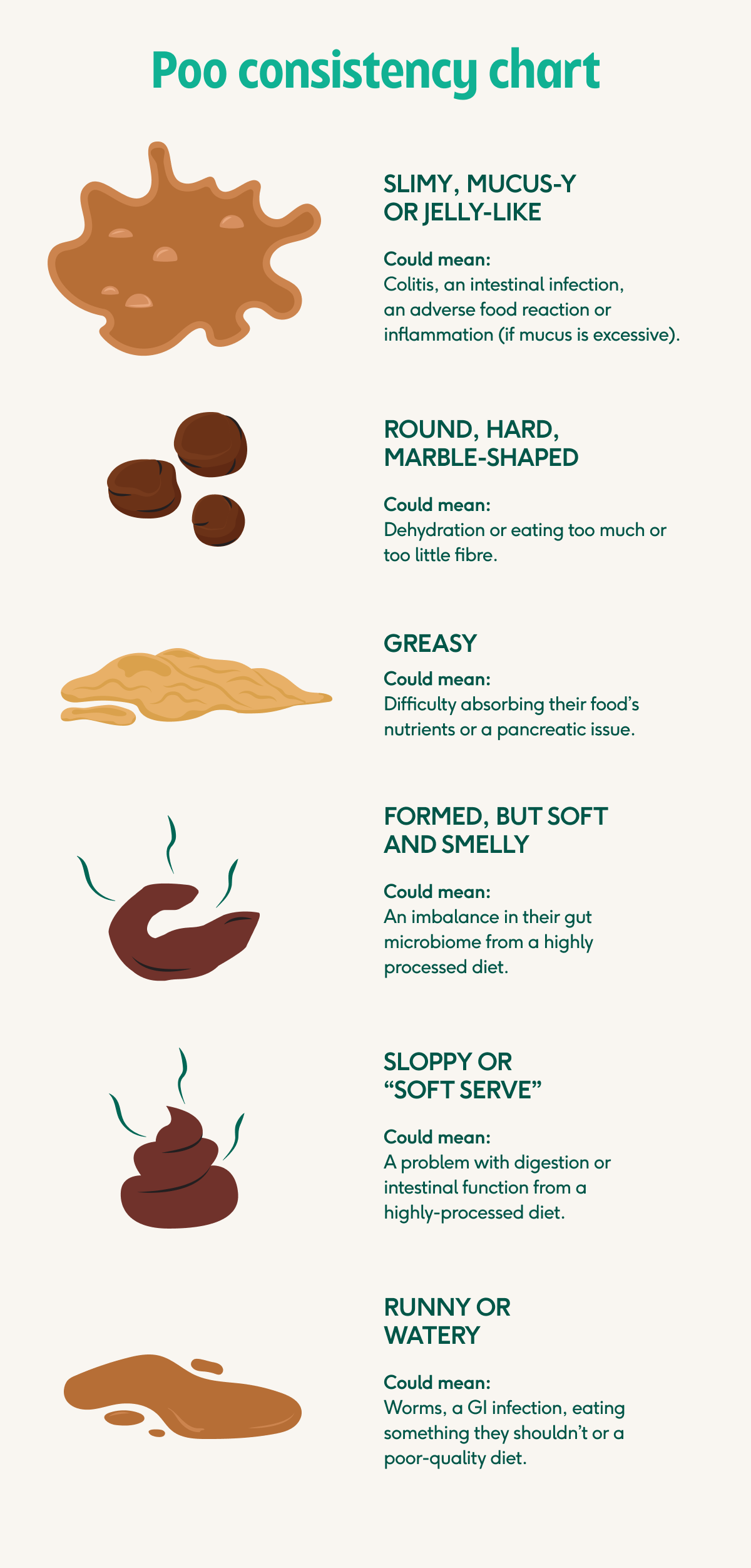 Dog Poo Decoded Colour Consistency And Smell vet Approved Guide Lyka Blog