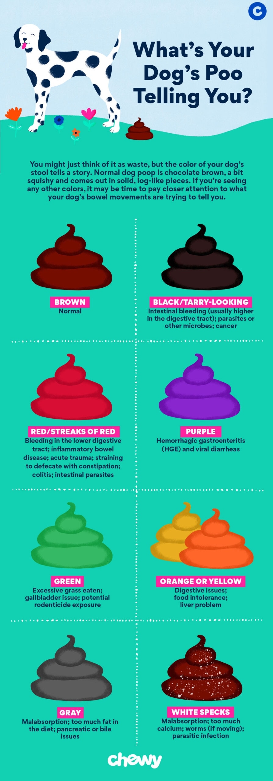 Dog Poop Color Chart Is Your Dog s Poop Healthy Chewy