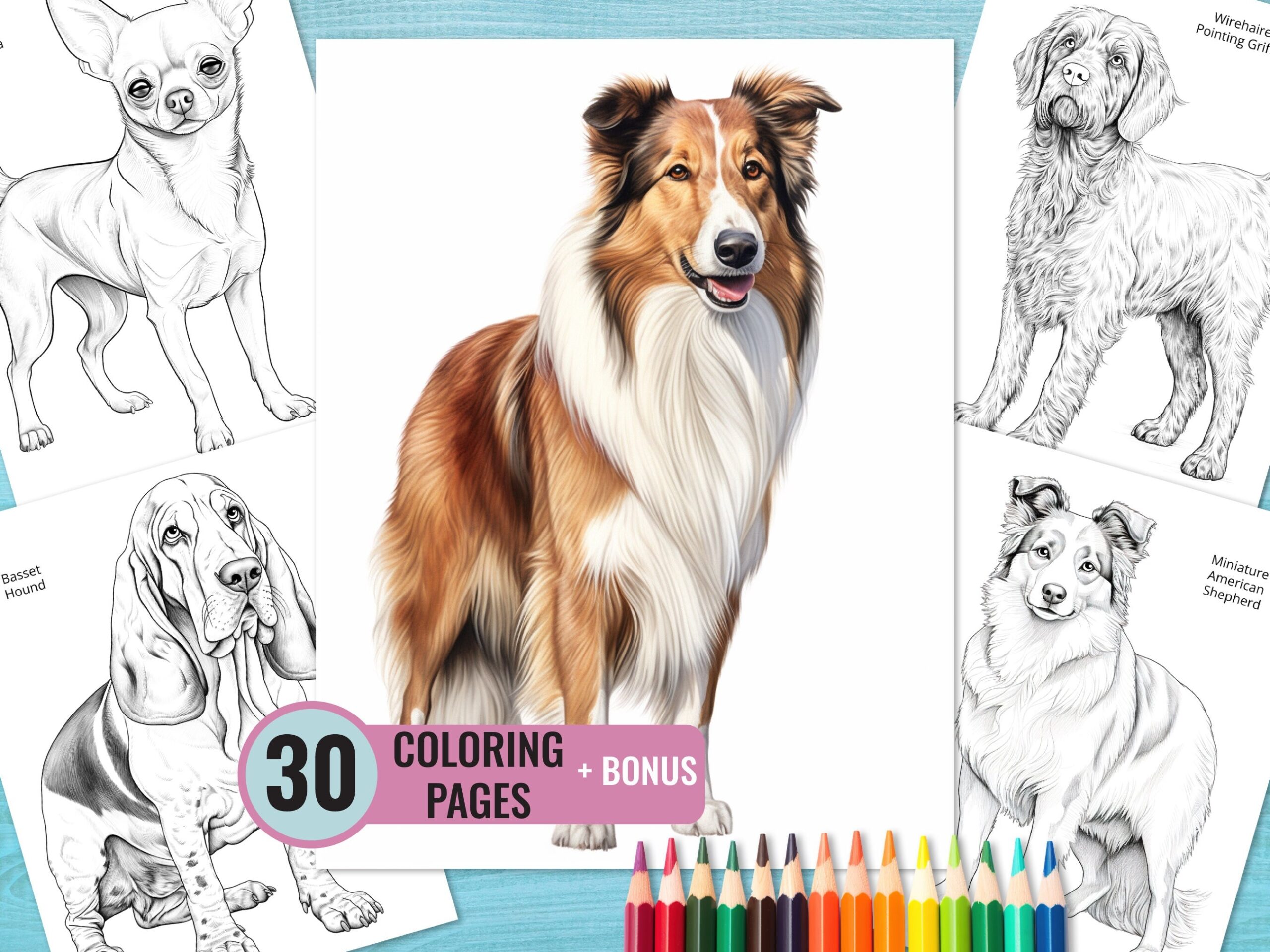 Dogs Coloring Book 30 Printable Dog Breeds Coloring Pages For Kids And Adults Shepherd Full Body Coloring Page Chihuahua Instant Download Etsy