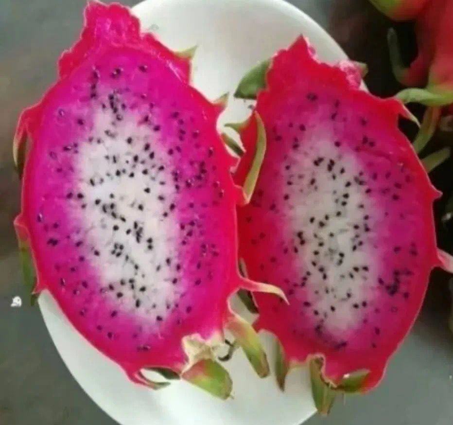 dragon fruit colors