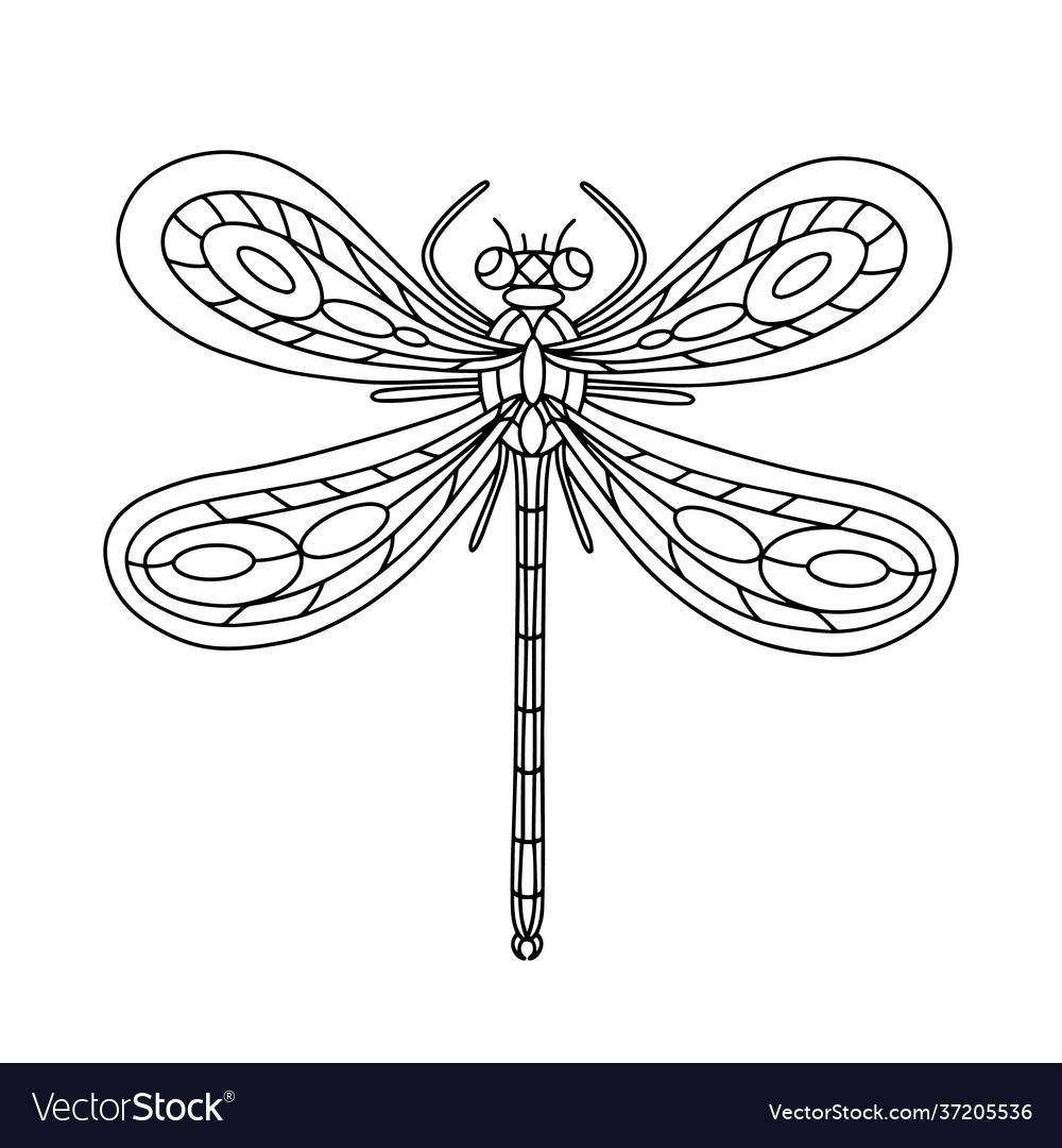 dragonfly coloring template