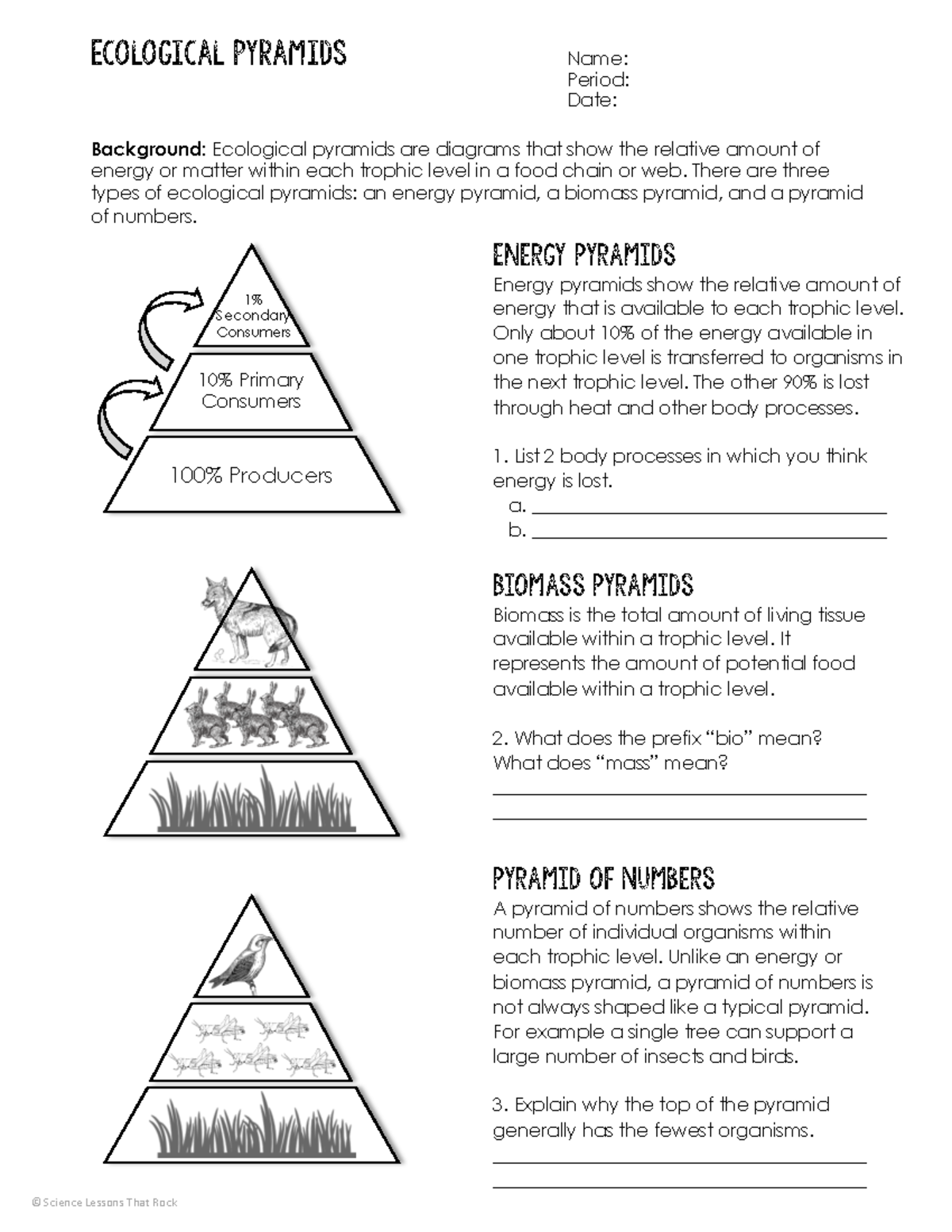 Ecological Pyramid Study Guide Energy Biomass U0026 Numbers Bio 101 