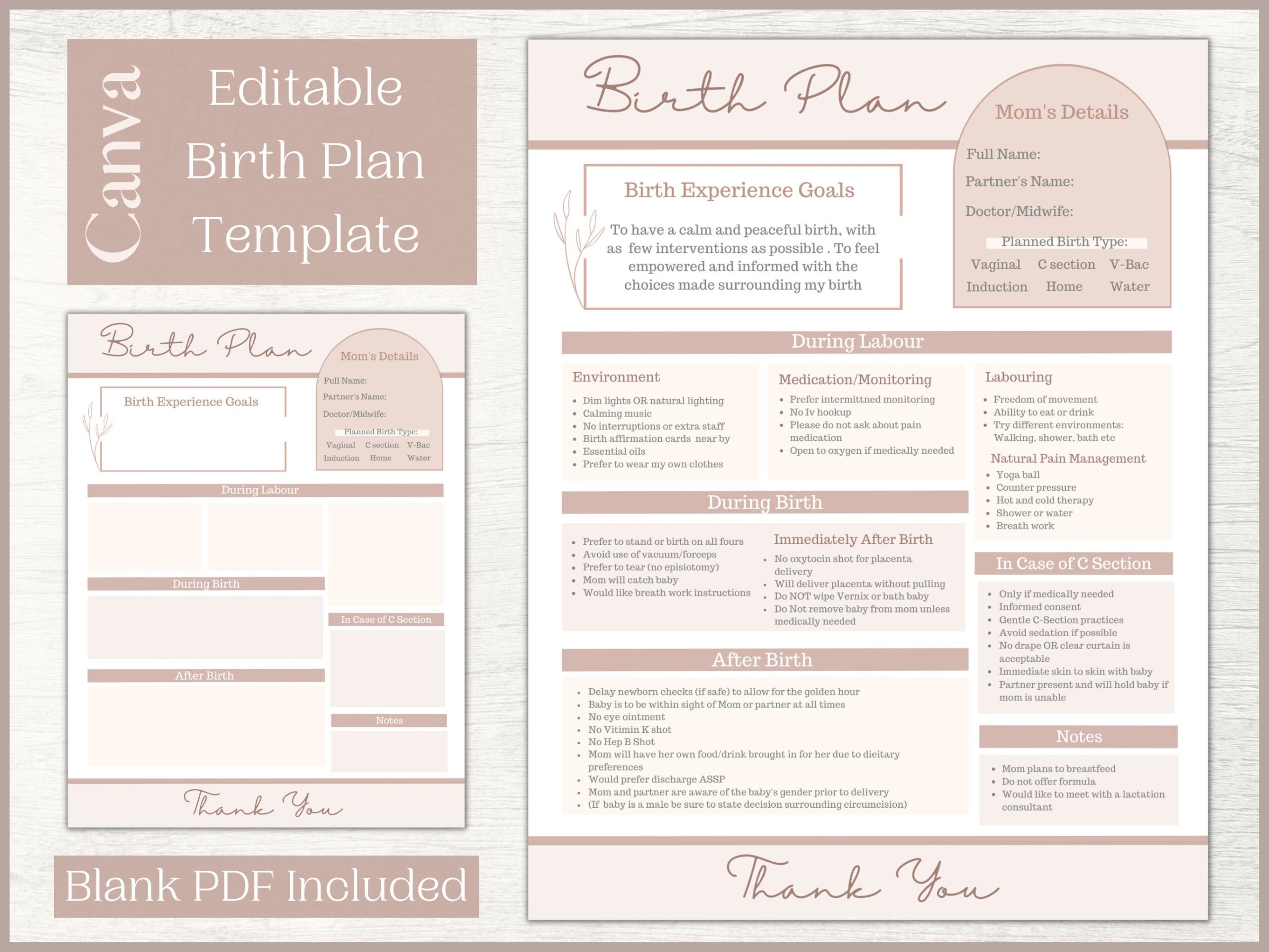 birth plan template free download