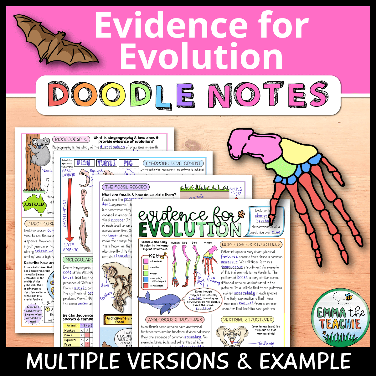 evidence for evolution worksheet answers