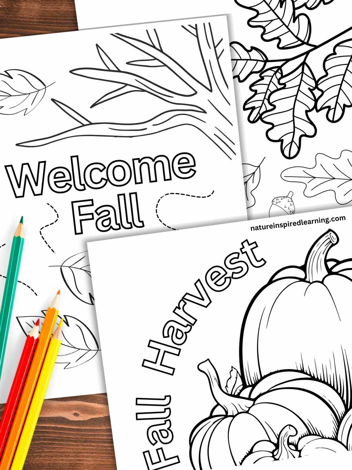 fall pictures coloring