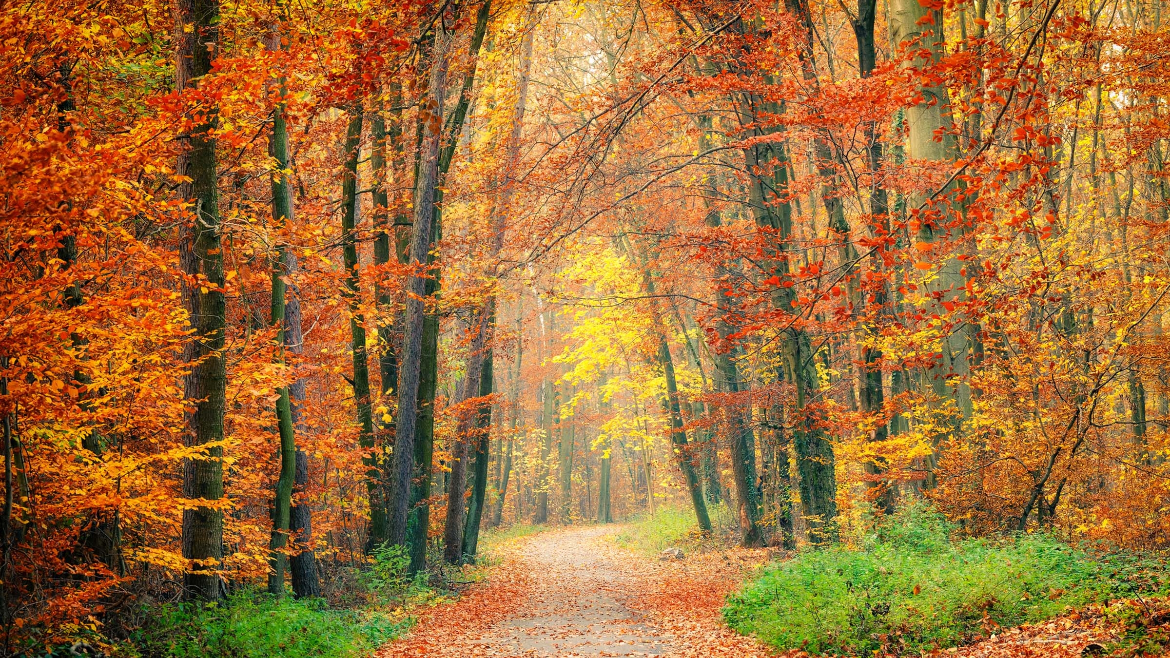 colorful fall pictures