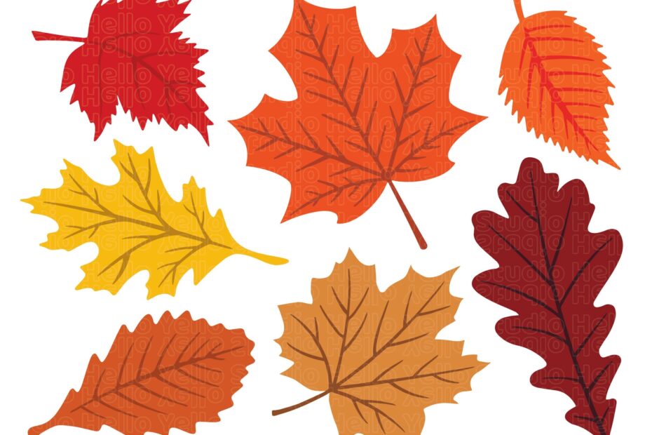 Fall Leaves Svg Fall Svg Fall Leaf Svg Bundle Fall Png Dxf Clipart Cut Files For Cricut Glowforge Files Silhouette Halloween Svg Etsy