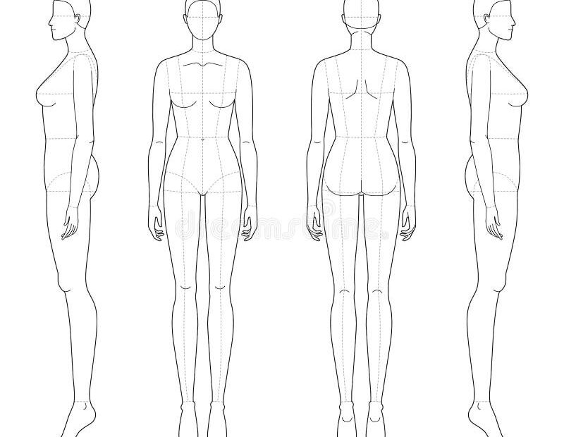 Female Body Template Stock Illustrations 43 096 Female Body Template Stock Illustrations Vectors U0026 Clipart Dreamstime