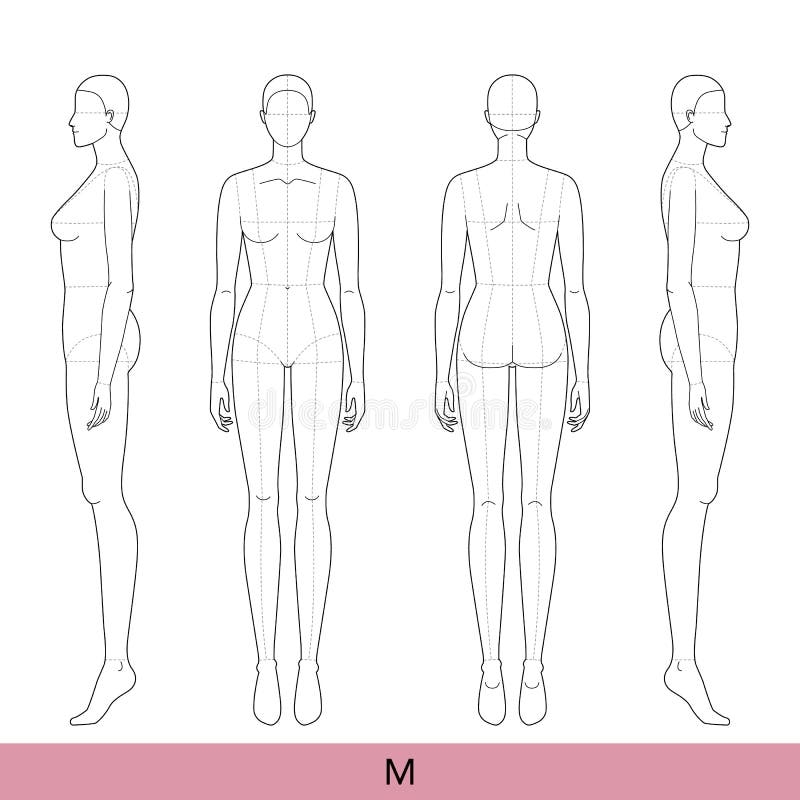 Female Body Template Stock Illustrations 43 096 Female Body Template Stock Illustrations Vectors U0026 Clipart Dreamstime