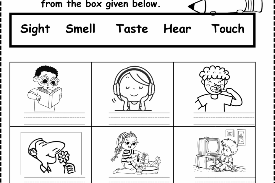 Five Senses Worksheet Free For Kindergarten And Grade 1