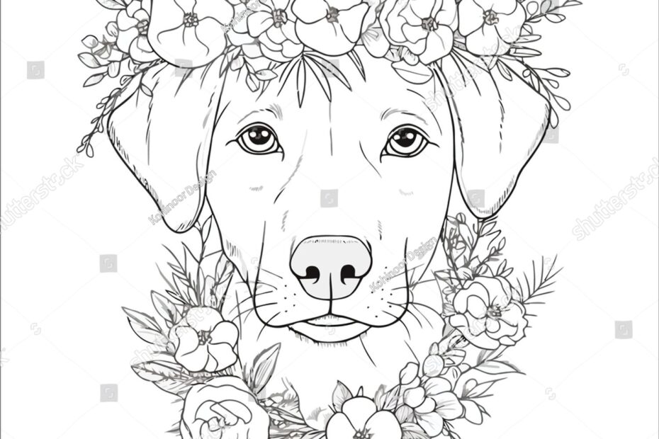 Flower Dog Coloring Pages Adults Stock Vector Royalty Free 2310815825 Shutterstock