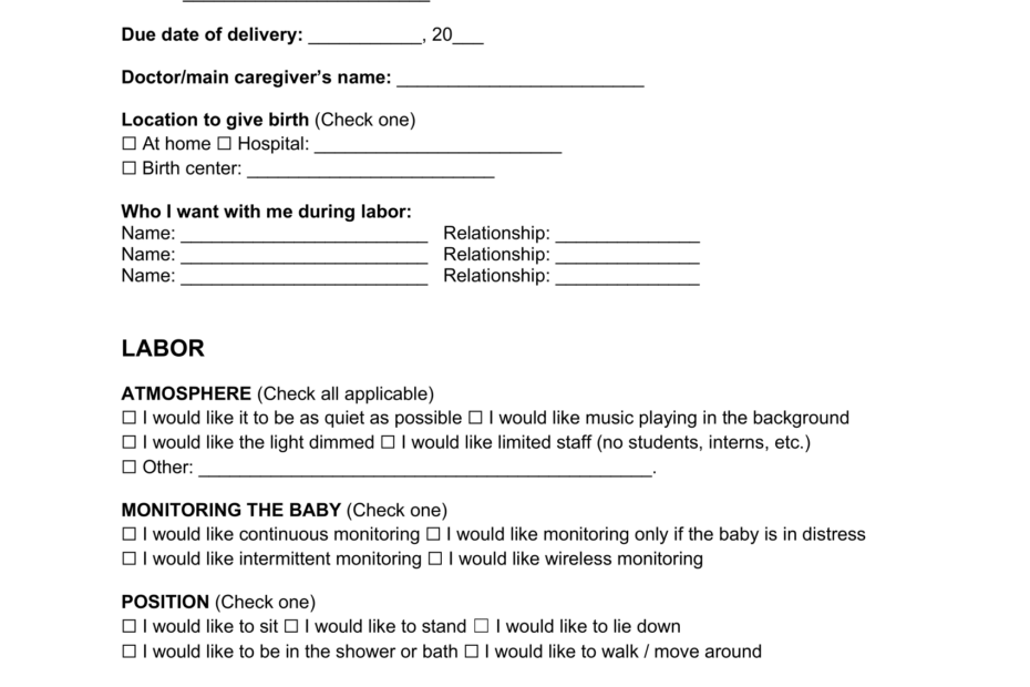 Free Birth Plan Template PDF U0026 Word