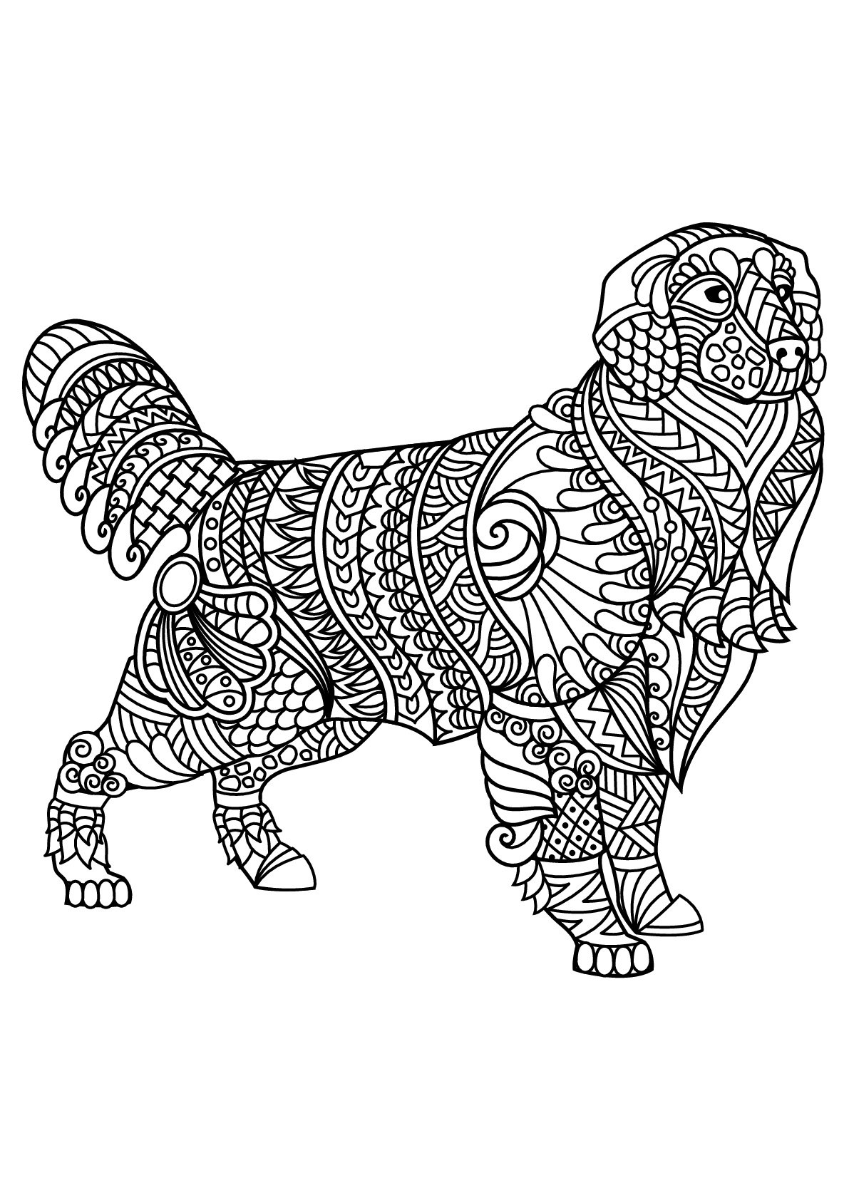 adult coloring pages dog