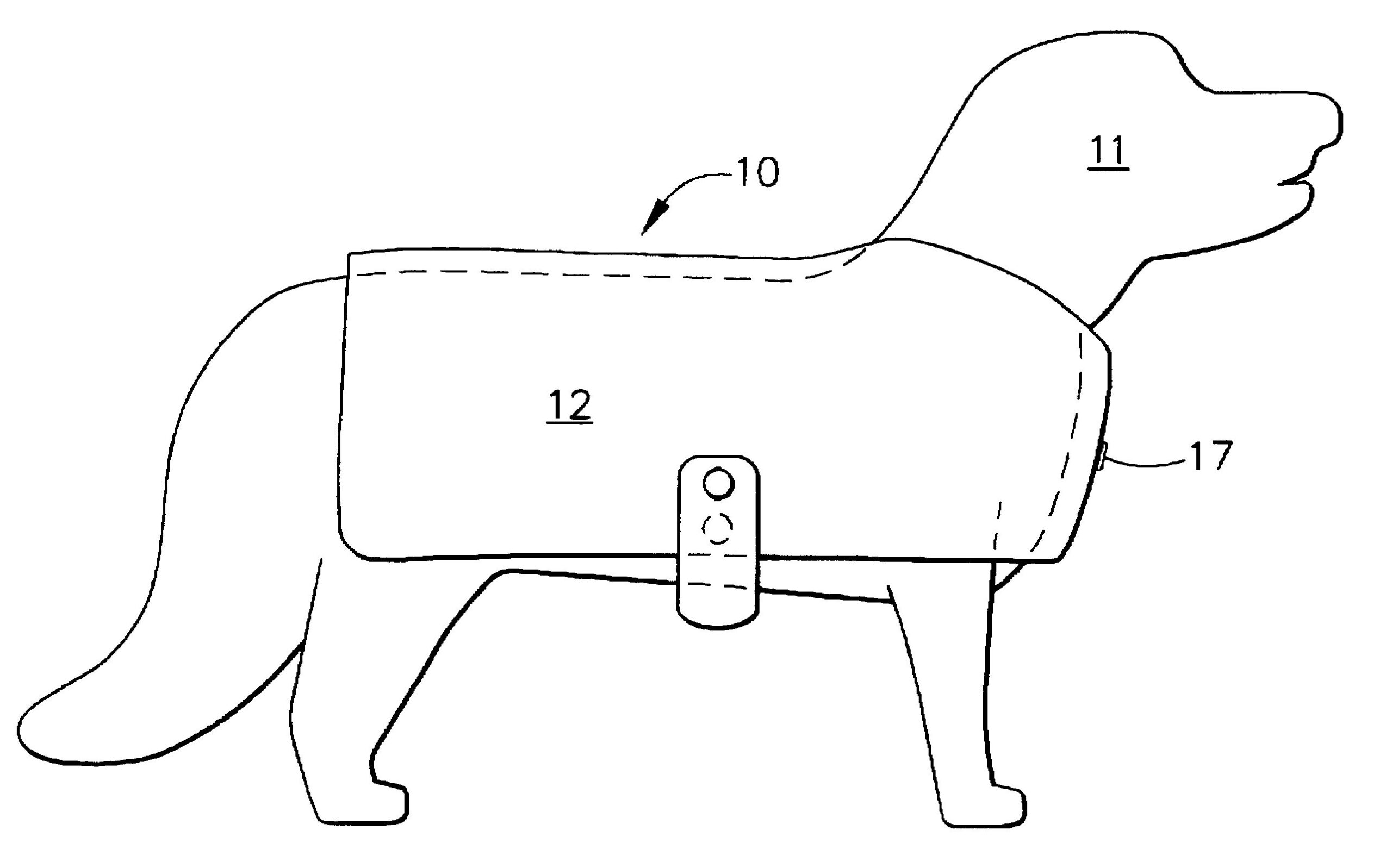 free printable dog coat pattern pdf
