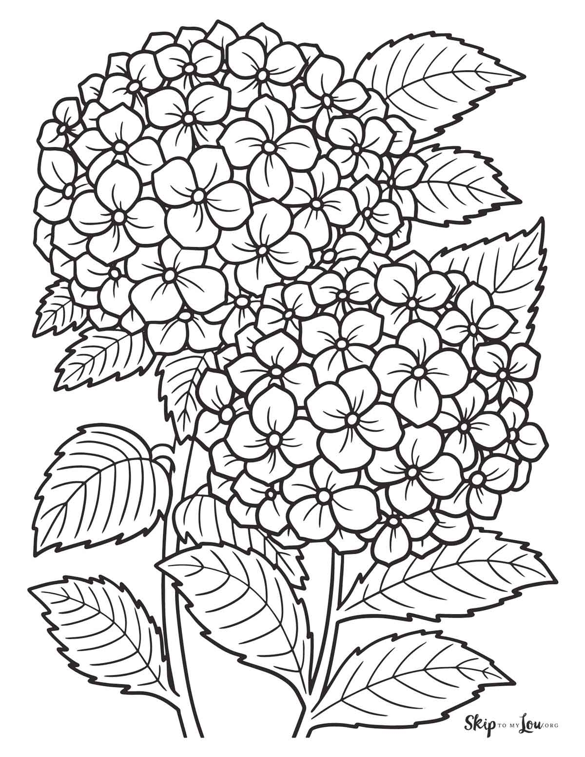 adult flower coloring pages printable