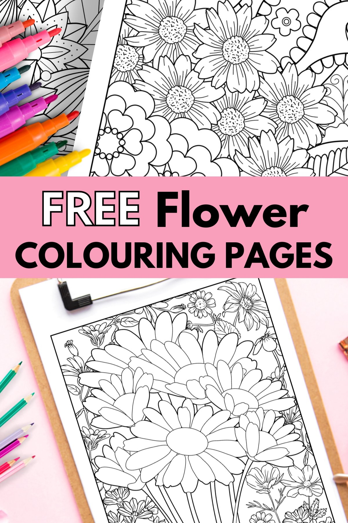 adult coloring sheets printable
