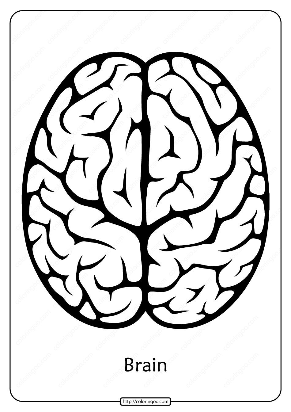 brain coloring worksheet