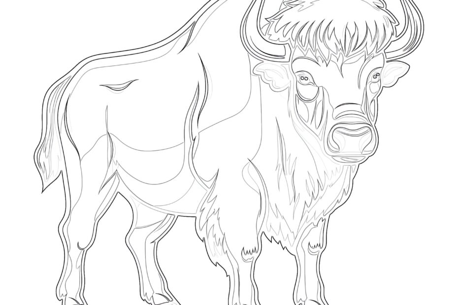 Free Printable Buffalo Coloring Pages Coloring Pages Mimi Panda