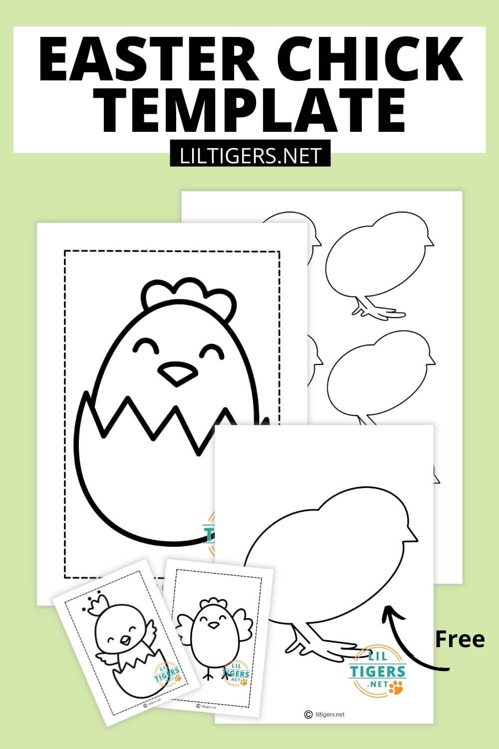 Free Printable Easter Chick Template U0026 Coloring Pages Lil Tigers